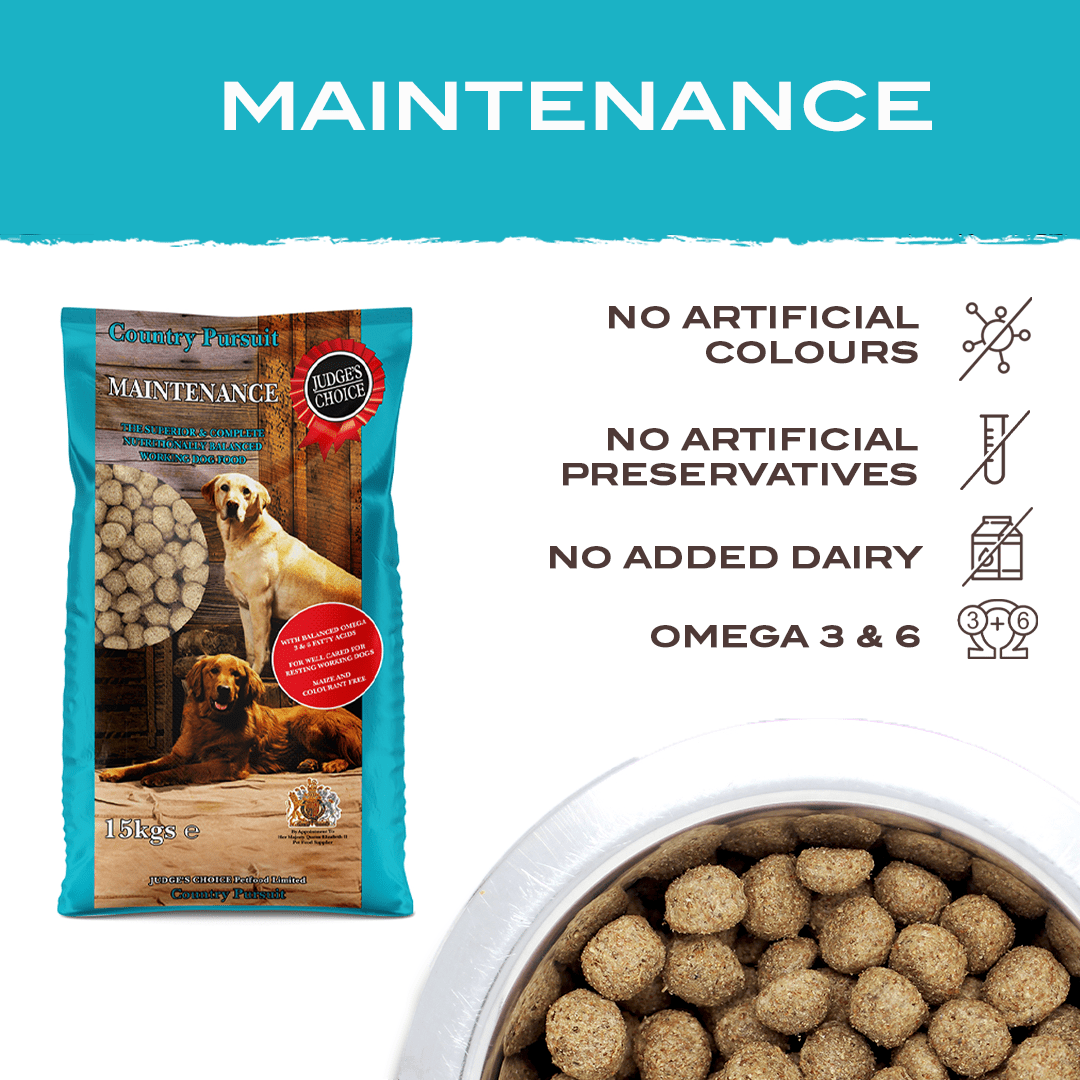 Country Pursuit Maintenance Lifestyle Adult Dog Food 300g Sample