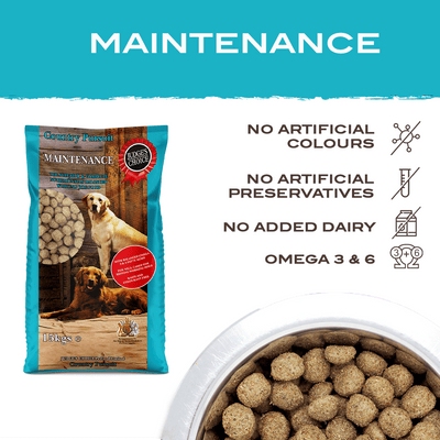 Country Pursuit Maintenance Lifestyle Adult Dog Food 300g Sample