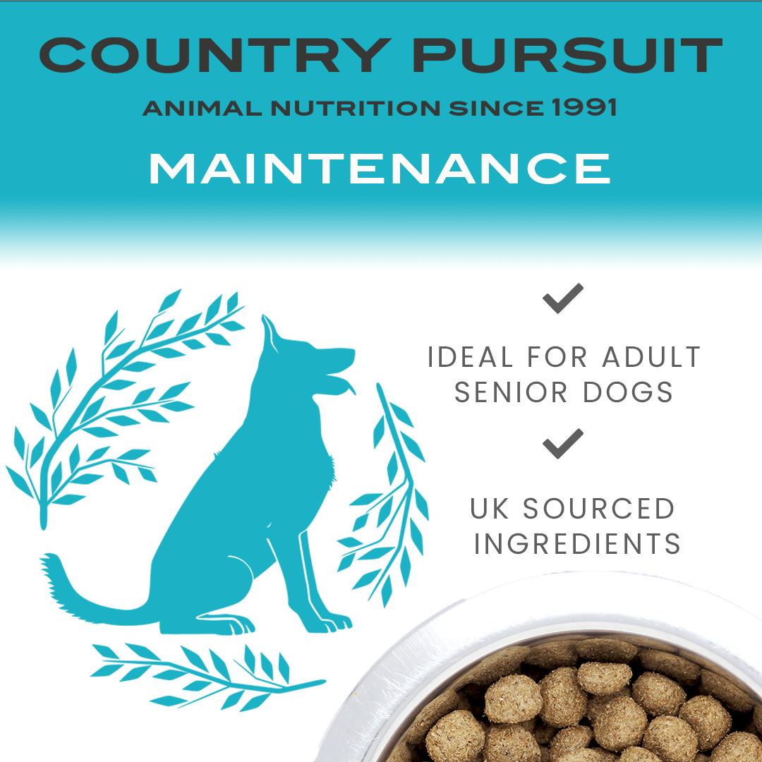 Country Pursuit Maintenance Lifestyle Adult Dog Food 300g Sample