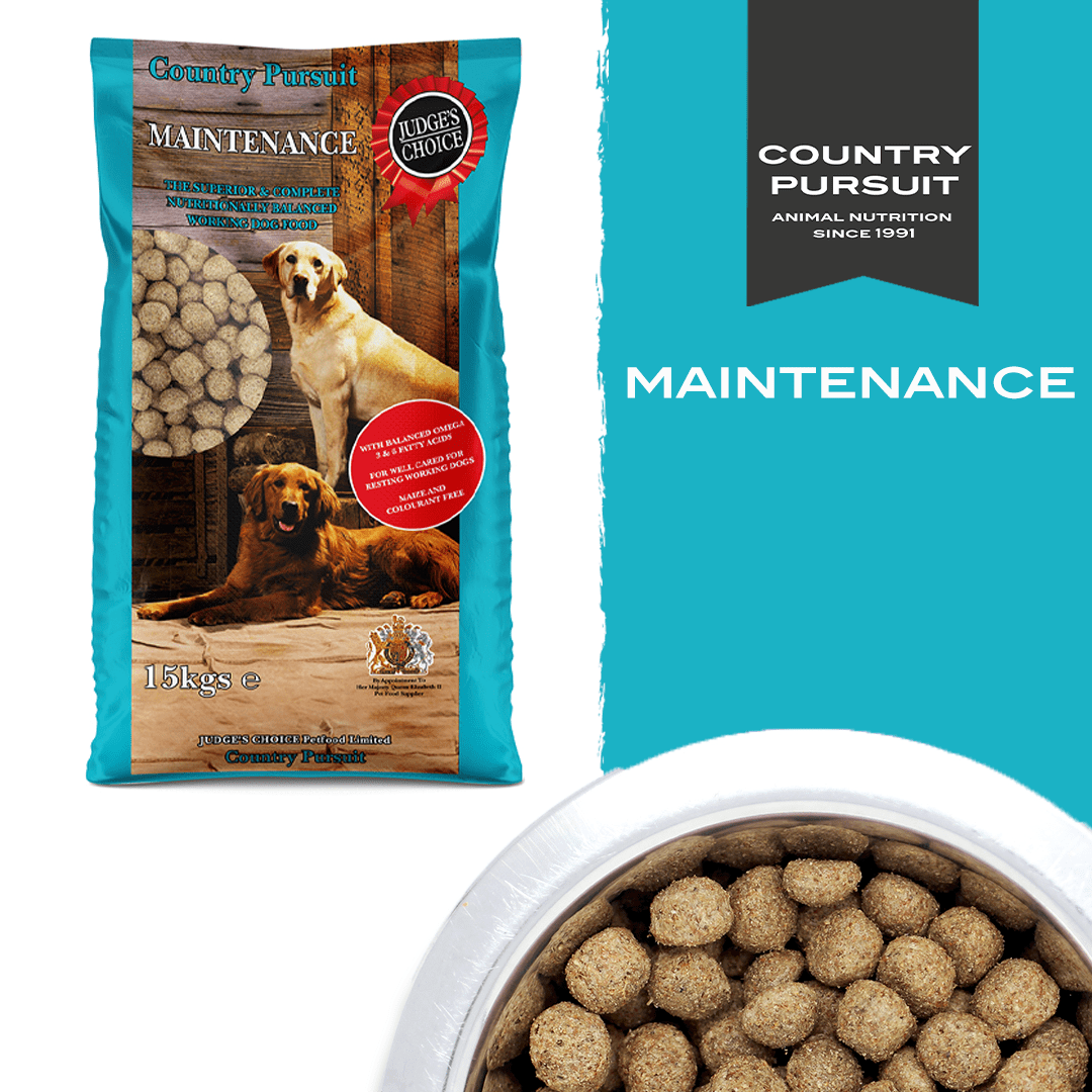Country Pursuit Maintenance Lifestyle Adult Dog Food 300g Sample