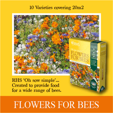 RHS Shake and Sow Wildflowers for Bees