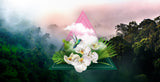Monteverde Fragrance Oil