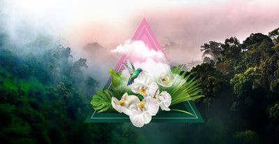 Monteverde Fragrance Oil