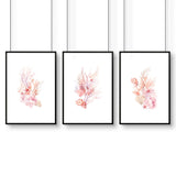 Large Coastal Wall Art | Set of 3 Seashells Wall art Prints