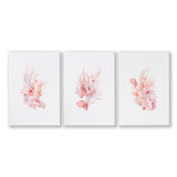 Large Coastal Wall Art | Set of 3 Seashells Wall art Prints