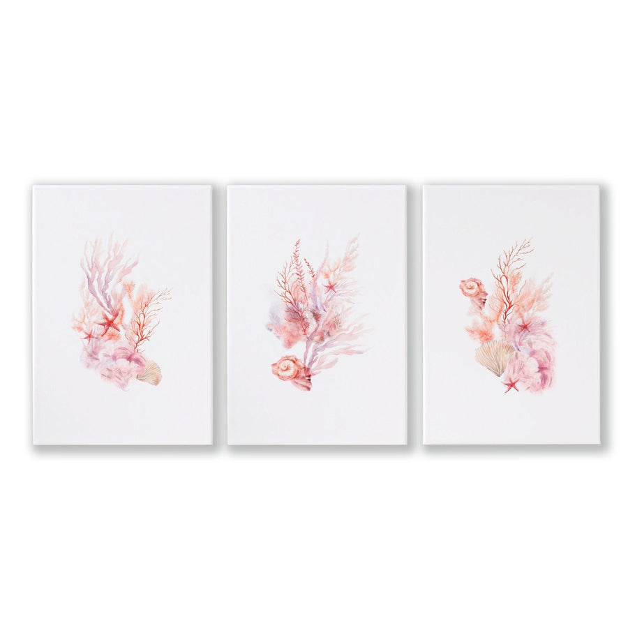 Large Coastal Wall Art | Set of 3 Seashells Wall art Prints