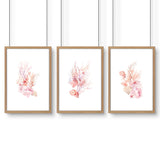 Large Coastal Wall Art | Set of 3 Seashells Wall art Prints