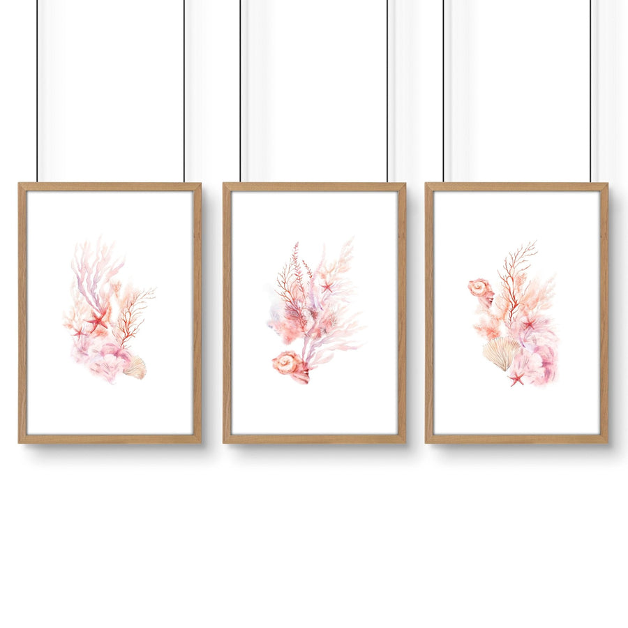 Large Coastal Wall Art | Set of 3 Seashells Wall art Prints