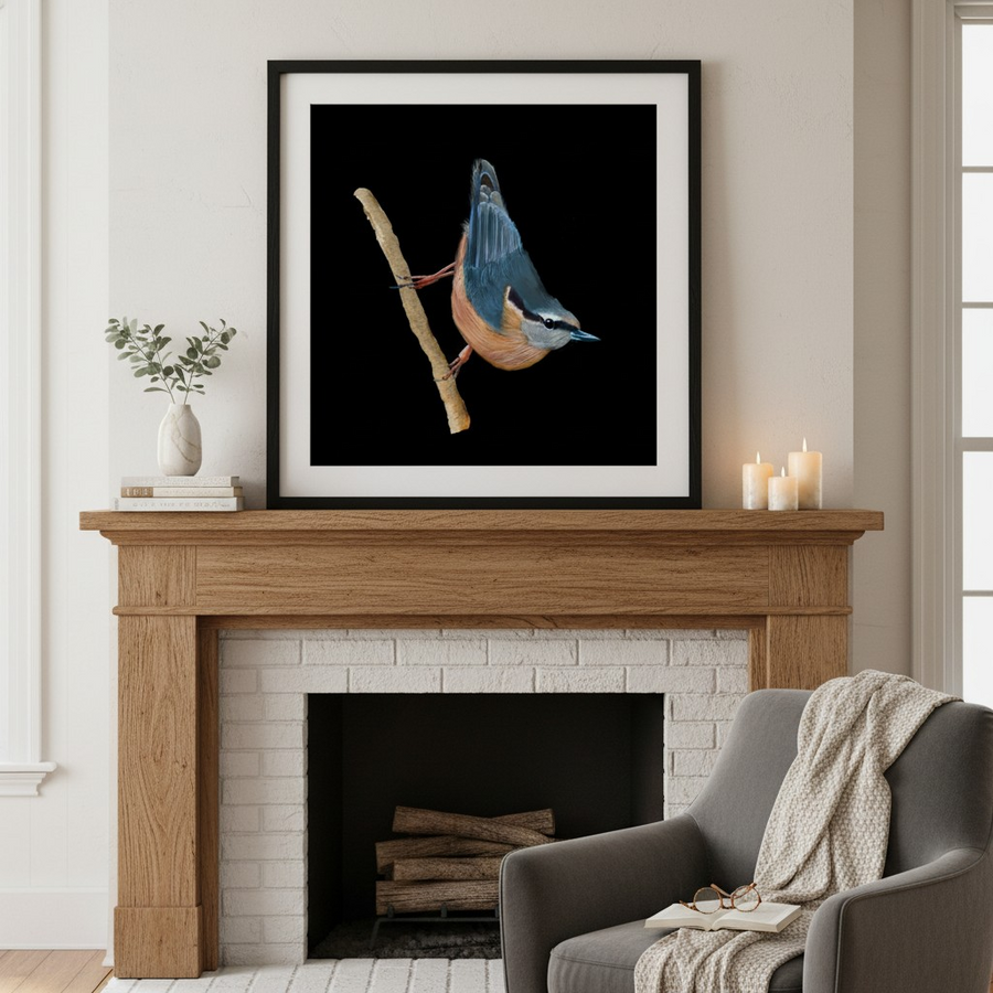 Nuthatch Fine Art Print