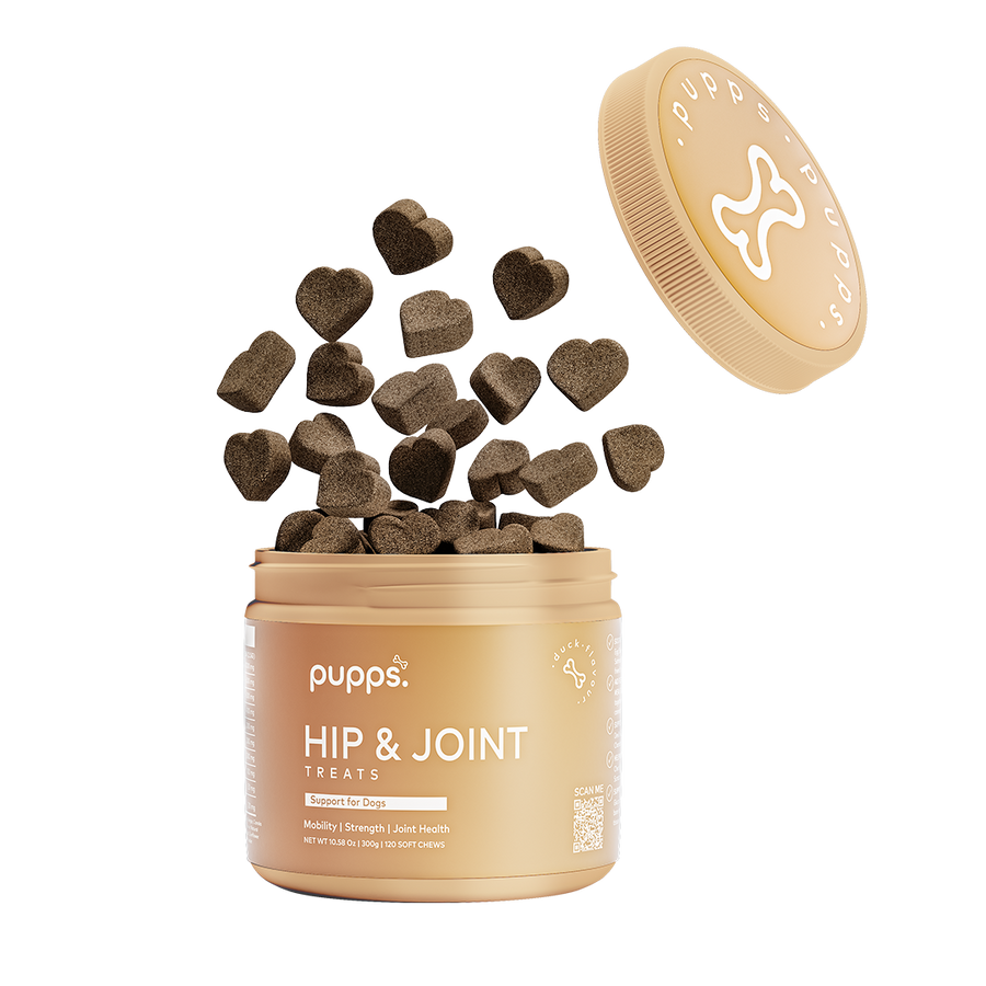 Hip & Joint Treats