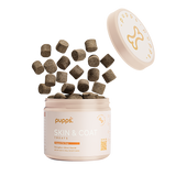 Skin & Coat Treats