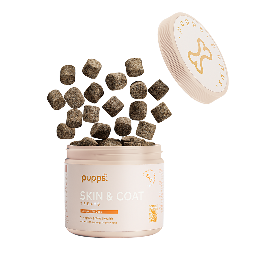 Skin & Coat Treats
