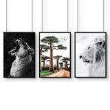 Safari Bedrooms | Set of 3 African Wildlife Wall art Prints